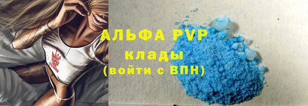 стаф Инта